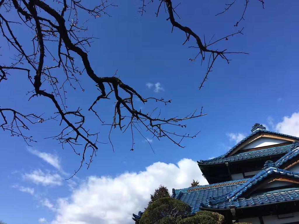 Kougetsu Sanso -- Moon Villa In Tokyo باتْسْيوزسِ المظهر الخارجي الصورة